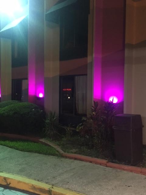 Valuelodge Busch Gardens - Tampa Exterior photo